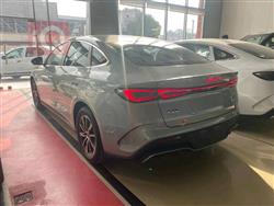 بي واي دي سيل 06 DM-i